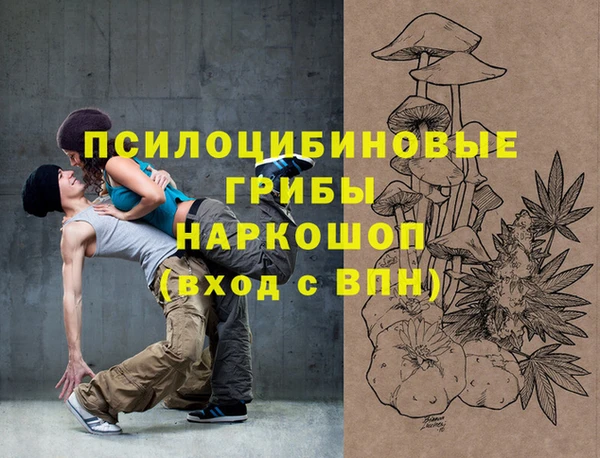 сатива Нефтекумск