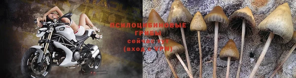 сатива Наволоки