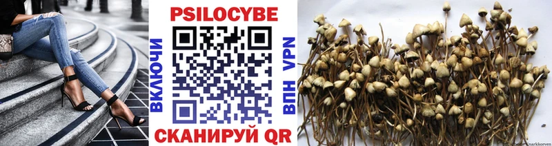 Псилоцибиновые грибы GOLDEN TEACHER  Нальчик 